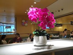 -海底捞火锅(旭辉MALL店)