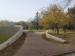 -北京国家会计学院