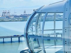 -蔻蔻椰·鲜萃椰子水(欢乐港湾店)