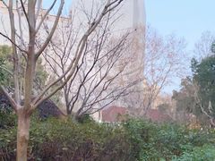 -徐家汇源景区-衡山公园