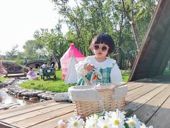-丁香湖公园