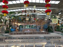 -南宫五洲植物乐园