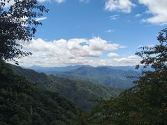 -王顺山国家森林公园