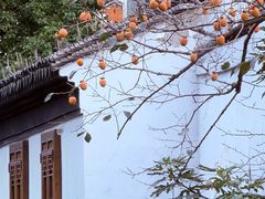 -苏州市立医院本部母子保健中心