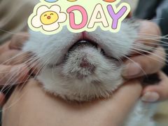 -芭比堂宠物医院·全科爱猫医院·仁德分院