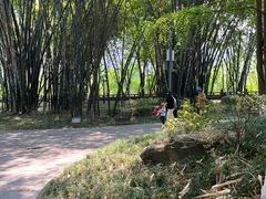 -望江楼公园