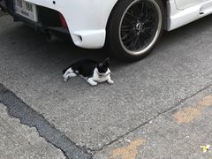 -莓园冰淇淋店
