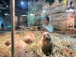 -Zoolung Zoolung动物主题公园(海信广场店)