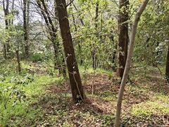 -同里国家湿地公园