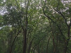 -南山风景名胜区