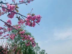 -朝阳公园