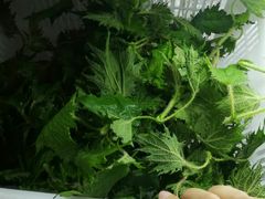 -黔府豆米火锅野菜馆(南马店)