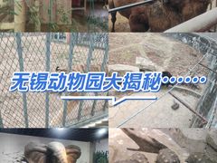 -无锡动物园·太湖欢乐园