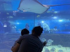 -重庆欢乐海底世界
