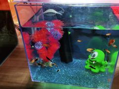 -烟台海昌鲸鲨海洋公园