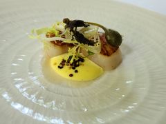 -蝶舍·MAISON PAPILLON