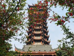 -塔子山公园