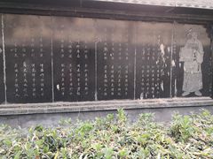 -东方巨龟苑景区