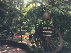 -卷心菜和避孕套餐厅(Pattaya)