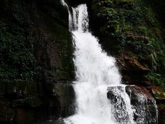 -碧峰峡风景区
