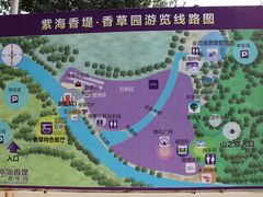导游图-紫海香堤香草艺术庄园