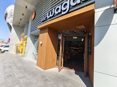 -Wagas沃歌斯(枫蓝国际店)