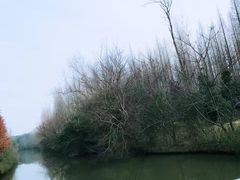 -上海怡沁园度假酒店