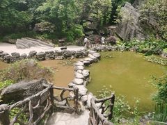 -梭布垭石林景区