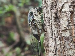 -云峰山自然风景区