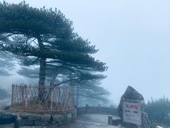 -黄山风景区