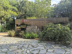 -同里国家湿地公园