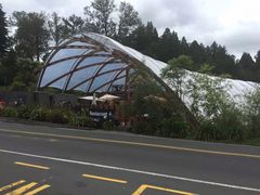 -怀托摩萤火虫洞