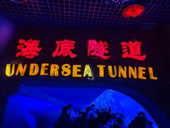 -太平洋海底世界