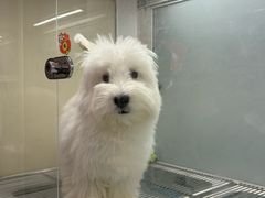 -银座和谐广场