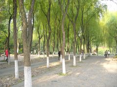 -柳浪闻莺公园