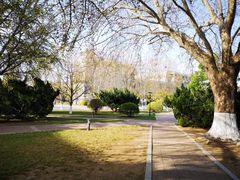 -大连理工大学(凌水校区)