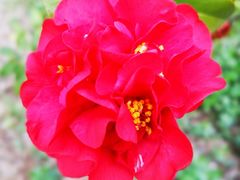 -白塘生态植物园