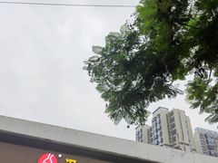 -冯记香辣兔火锅(茶店子总店)