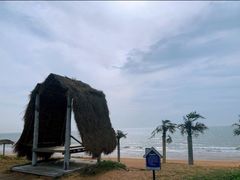 -渡海小渔村.老辈日照菜