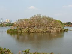 -海珠湖公园