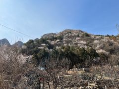 -妙峰山风景名胜区