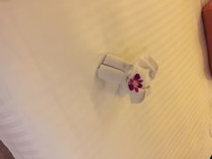 曼谷安娜塔拉河畔水疗度假村-阿瓦尼河滨曼谷酒店