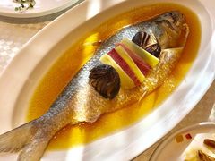 老酒蒸鲥鱼-望乡楼上海菜(日月光店)