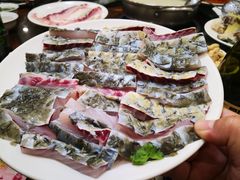 -正能量脆肉鲩火锅