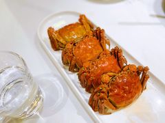 -園外園港式精品菜