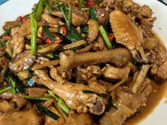 现杀果园鸡—黄焖鸡-生态苑农庄(十里画廊遇龙河店)