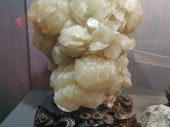 -陕西自然博物馆