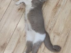 -花儿照相馆·最美证件照(红旗街万达店)