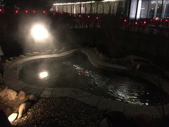 -河北霸州茗汤日月潭温泉