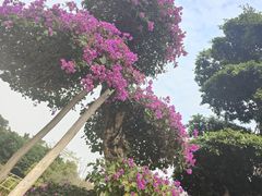 -南宁南湖公园